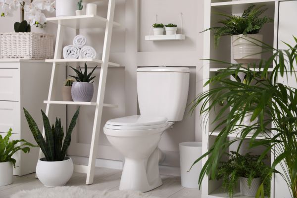Cost of Toilet Repair in Salem