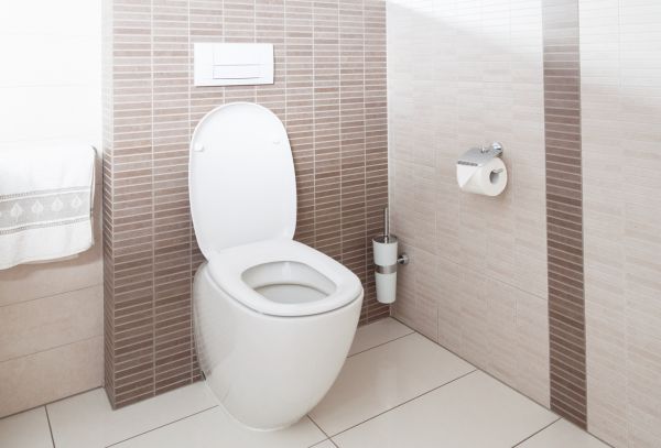 Cost of Toilet Plumbing Installation in Salem